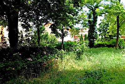 Apartament cu 3 camere decomandat în Nord - 2