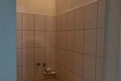 Garsonieră semidecomandată în Pantelimon - 9