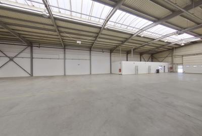 Hala industrială 727 mp - 2