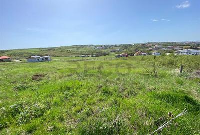 RECO Teren intravian in Oradea Str Beldiceanu 771mp - 1