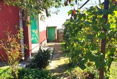 Casa cu teren mare in Cefa cu triplu front stradal - 7