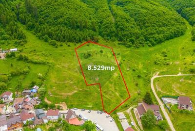 Teren Construcții intravilan de 8529 mp, în Bunloc - 5
