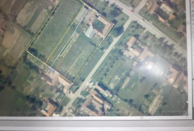 Casă cu 6 camere cu Teren 3000 Mp în Almaș - 1