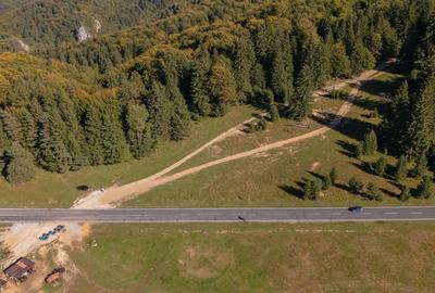 Teren Construcții intravilan de 10440 mp, în Drumul Poienii - 14
