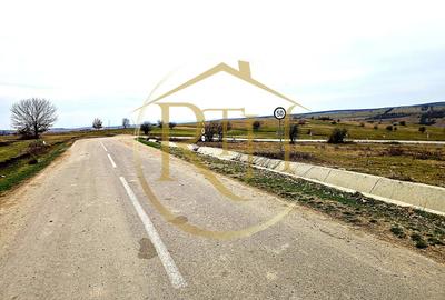 Teren agricol extravilan de 25000 mp, în Secaș - 18