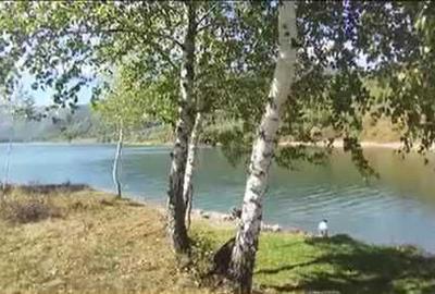 Teren de 9109 mp, în Rusca - 3