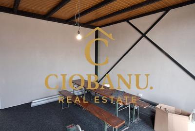 Hala de vanzare in Racari de Jos - 7