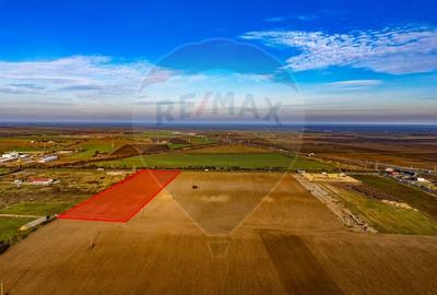 Teren Construcții intravilan de 29220 mp, în Est - 4