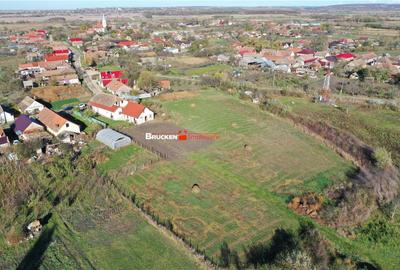 Teren de 800 mp, în Hodoș - 4