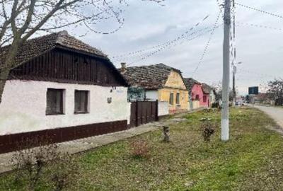 Cota de 1/2 din casa si teren, Loc Periam, Jud Timis - 1