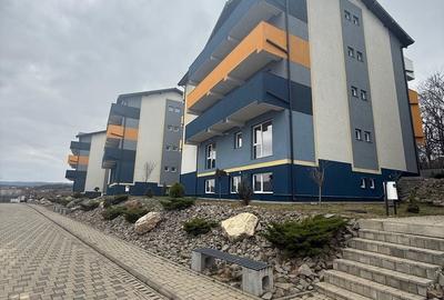 Garsonieră în Bucium - 3