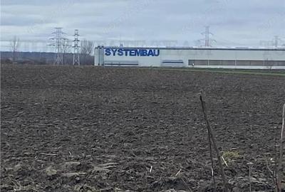 Teren Extravilan 10.000 mp in Prahova - 3