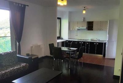 Inchiriem Apartament 2 Camere, Modern, Open Space, Racadau - 6