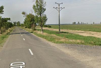 Teren de 12000 mp, în Țintești - 1