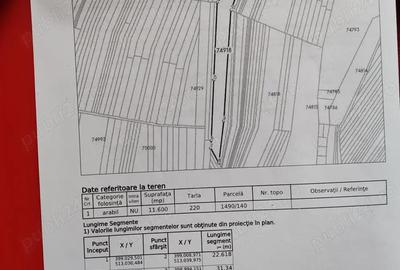 Teren de 11600 mp, în Dumitra - 2