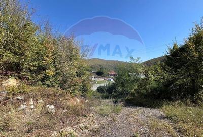 Teren intravilan Buru | ideal agrement, activita?i outdoor - 13