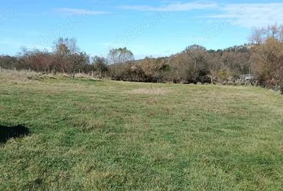 Vand casa batraneasca nelocuibila + teren intravilan 4.316 mp Comuna Ezeri? - 5