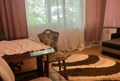 Apartament cu o camera Sagului - 4