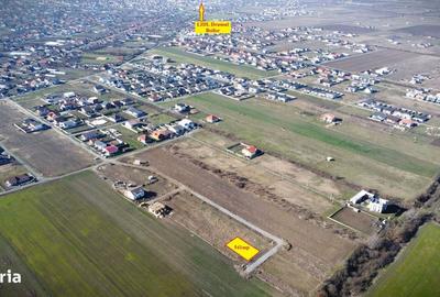 Spațiu comercial, în Moșnița Veche - 6