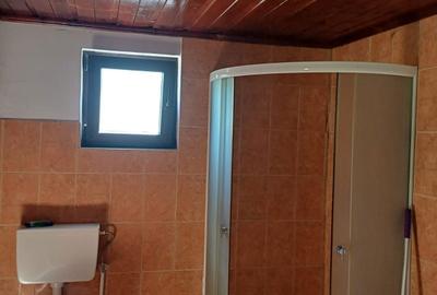 Casă cu 3 camere în Pietroasa - 8
