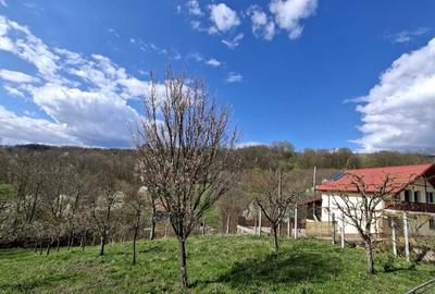 Spațiu comercial, în Olteni - 7