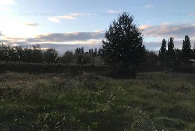 Teren de 500 mp, în Podu Iloaiei - 3