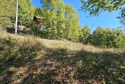 Cabana de vanzare Lep?a, jud. Vrancea - Cheile Ti?i?ei - 4