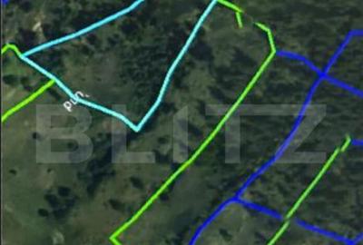 Padure 1,42 hectare in Poiana Ilvei - 1