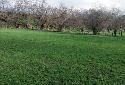 Spațiu comercial, în Vermești - 1