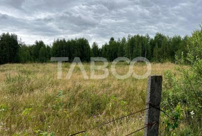 Teren agricol de 1934 mp, în Avrig - 2