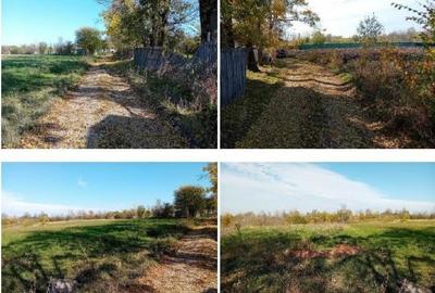 Teren Ungheni, ID: R2832820 - 10