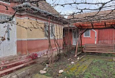 Casă cu Teren 1400 Mp în Tău - 5