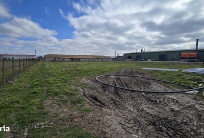 Teren de 4649 mp, în Topraisar - 2