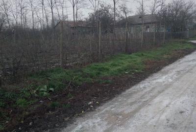 Spațiu comercial, în Rasa - 2