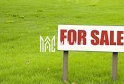 Teren | Intravilan | 1800 MP | Constructie Blocuri | Sibiu - 4