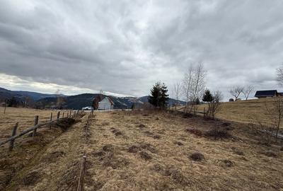 Spațiu comercial, în Albac - 5