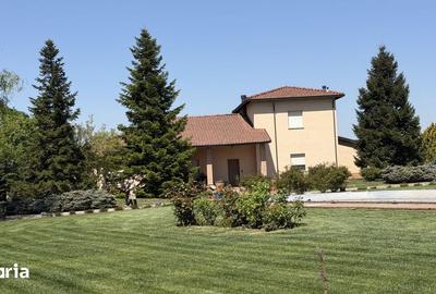 Casă cu 7 camere cu Teren 6700 Mp în Cernica - 2