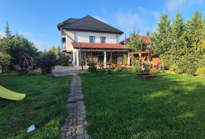 Vila individuala deosebita, Lipia - Buzau - 17