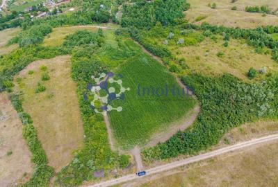 Teren Construcții intravilan de 10000 mp, în Rediu Aldei - 1