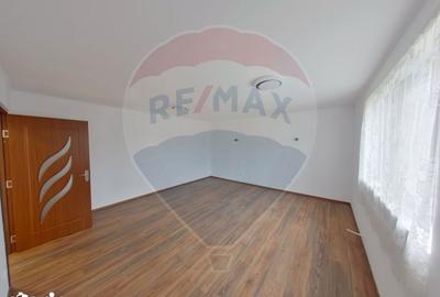 Casă cu 5 camere cu Teren 2688 Mp în Remeți - 11