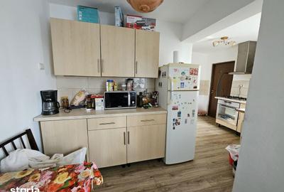 Casă cu 5 camere cu Teren 1566 Mp în Vladimirescu - 12