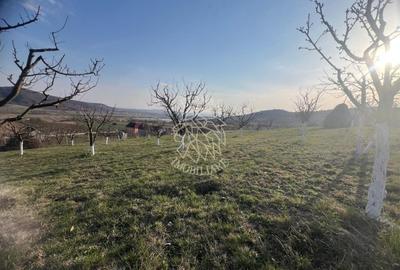 Teren Construcții intravilan de 3100 mp, în Mititei - 6