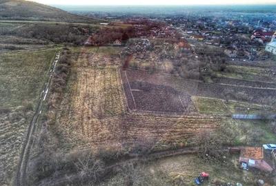 Teren de 1,200 mp cu potential in Covasant, strada Liliacului - 7