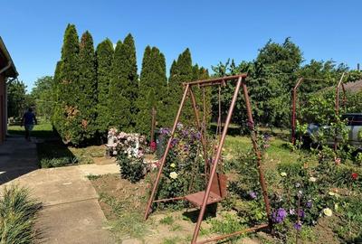 Casă individuală cu 3 camere cu Teren 1250 Mp în Prunaru - 6