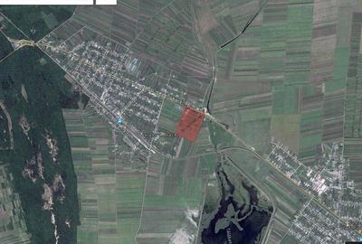 Vand teren intravilan DN 25. Comision Zero!! - 1