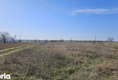 Teren de 6707 mp, în Cetariu - 8