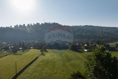 Teren intravilan 7.255?mp +casa rustica ideal pen... - 6