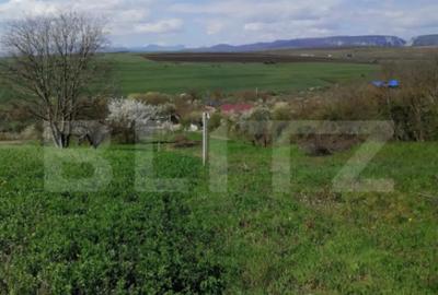 Teren de 1500 mp, în Central - 4