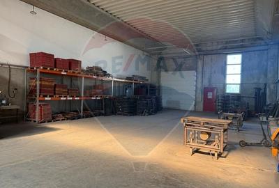 DE VANZARE Hala productie/depozitare - 10