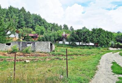 Bran- Predelut, 1000mp teren pentru casa de vacanta, pret 45 euro/mp - 14